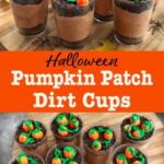Pumpkin Patch Dirt Cups